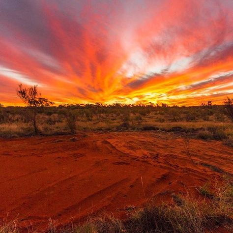 It's sunset week for a few days.  Here's one from the Australian Outback.  #sunset #outback #outbackaustralia #australiagram #ausoutbacknt #aussiephotos_july2015 #instasunsets #ruthspitzer Australian Outback, Beautiful City, South Wales, New South Wales, Wales, Photo Image, Road Trip