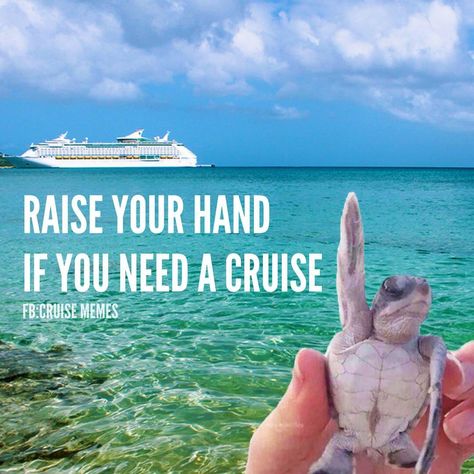 Cruise Humor, Cruise Memes, Vacation Quotes Funny, Cruise Quotes, Group Cruise, Cruise Pictures, Cruise Excursions, Vacation Quotes, Me Right Now