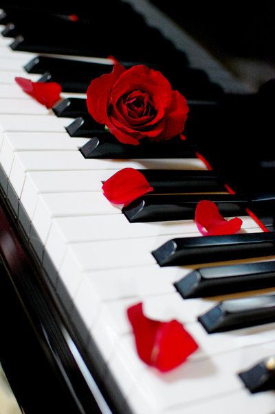 White Piano, Piano Man, The Piano, Red Aesthetic, Music Love, Blue Rose, Piano Music, Black White Red, Music Notes