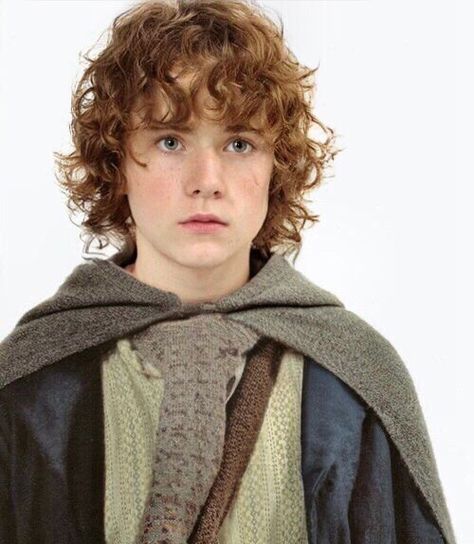 Frodo Baggins Hair, Frodo Hair, Hobbit Haircut, Lord Of The Rings Hair, Hobbit Hair, Going Merry, Lotr Cast, Frodo Baggins, Fellowship Of The Ring