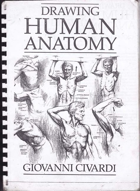 drawing human anatomy by Giovanni Civardi // http://pl.scribd.com/doc/117863683/drawing-human-anatomy-by-Giovanni-Civardi whole book here Drawing Human Anatomy, Beginner Drawing Lessons, Drawing Heads, Human Anatomy Drawing, Human Figure Drawing, Human Drawing, Basic Drawing, Comic Drawing, Book Drawing