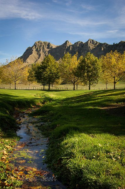 Nz Landscape, New Zealand Wine, Hawkes Bay, School Photography, Wine Region, Wanderlust Travel, Countries Of The World, Pictures To Draw, Wine Country