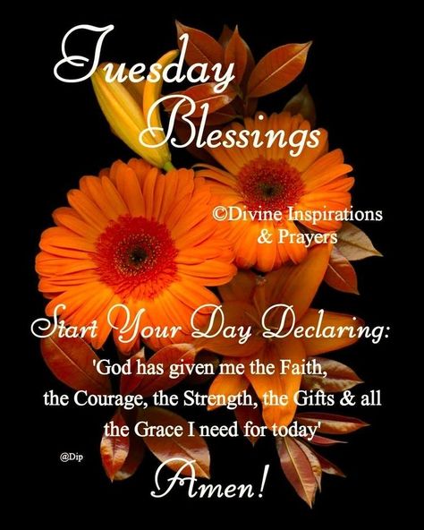 Tuesday Blessings, Encouraging Thoughts, Good Morning Tuesday, Tuesday Quotes, Weekday Quotes, Thankful Thursday, Jesus Photo, Good Morning God Quotes, Blessed Quotes