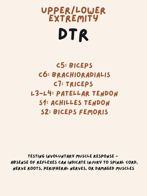 Deep Tendon Reflexes, Physical Therapy Assistant Student, Leg Anatomy, Physical Therapy Student, Occupational Therapy Kids, Physical Therapy Assistant, Physical Therapy Exercises, Lower Extremity, Study Board