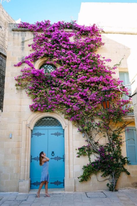 malta flower door by To Vogue or Bust Mdina Malta Aesthetic, Valetta Malta Photography, Malta Travel Photography, Malta Photography Ideas, Malta Instagram Spots, Malta Doors, Malta Photo Ideas, Malta Aesthetic, Malta Vacation