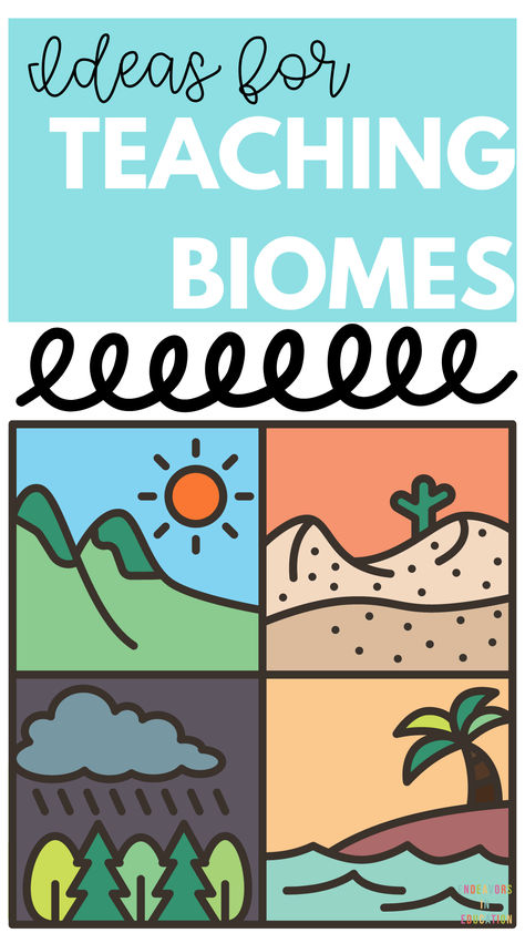 Looking to teach your students about biomes? This comprehensive blog post is a must-read for elementary science teachers! It covers engaging activities through detailed explanations, this blog post will help you bring the diverse world of biomes to life in your classroom. Perfect for enhancing your science lessons and keeping your students excited about learning. Pin this for your next lesson plan! #ElementaryScience #TeachingBiomes #ScienceActivities #ClassroomIdeas #TeacherTips Teaching Biomes, Biomes Activities, Biology Lesson Plans, Elementary Science Teacher, Biomes Project, 4th Grade Science, Biology Lessons, Teaching Practices, Elementary Science