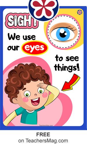 Sight: We use our eyes to see things! All about me and 5 senses theme pictures for preschoolers. Print a variety of posters and use them to decorate the walls of your daycare Free Five Senses Preschool, 5 Senses Preschool Printables Free, Five Senses Preschool Printables Free, I See With My Eyes Preschool, Sense Of Sight Activities Preschool, 5 Senses Flashcards Free Printable, Five Senses Flashcards, 5 Senses Activities For Preschoolers, Five Senses Books Preschool