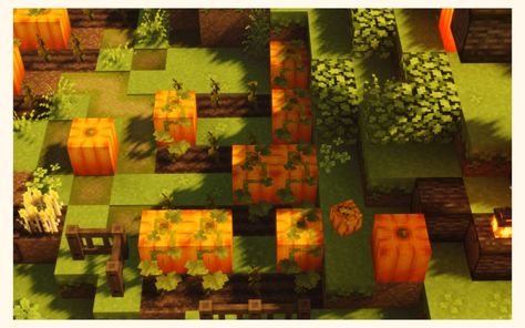 liv's mineblr, “pumpkin patch” (ft. a lil market stall) 🎃 ~ my... Minecraft Pumpkin Patch Ideas, Minecraft Medieval Market Stall, Minecraft Marketplace Stalls, Cute Minecraft Pumpkin Patch, Pumpkin Patch Minecraft, Minecraft Pumpkin Patch, Minecraft Medieval Market, Minecraft Pumpkin, Pumpkin Patch Anch