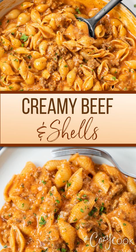 creamy beef and shells with small shell pasta, ground beef, and sauce Sea Shell Pasta Recipes, Cheesy Shells Ground Beef, Small Shells Pasta Recipes, Small Shell Pasta Recipes, Small Pasta Shells, Small Shell Pasta, Beef Shells, Garlic Bread With Cheese, Beef Mac And Cheese