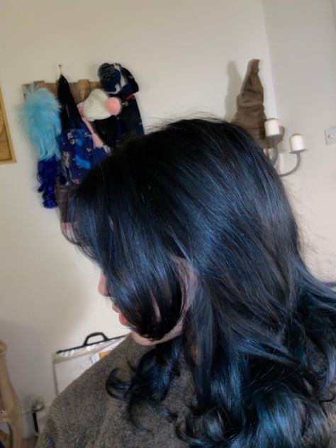 Midnight Blue Hair On Brown Hair, Fog Blue Hair, What Color To Dye Black Hair, Blue Dye Over Brown Hair, Dark Blue Hair On Brown Hair, Blue Almost Black Hair, Dark Blue Shirt Hair, Blue Babylights On Dark Hair, Blue Over Brown Hair