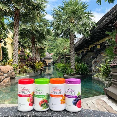 Tina Ramos on Instagram: “No matter what your summer plans are, pack your Juice Plus+ to make the most of them! #realnutrition #plantpower #veggiecrack #JuicePlus…” Juice Plus Capsules, Different Kinds Of Fruits, Fruit Juice Recipes, Breakfast Juice, The Good Son, Drink Plenty Of Water, Juice Plus, Plant Based Nutrition, Variety Of Fruits