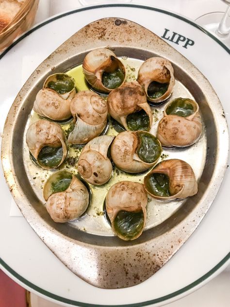 Traditional Escargot Dish French Cuisine Photography, French Dishes Aesthetic, Aesthetic French Food, France Food French Cuisine, French Cuisine Aesthetic, French Cousine, Hangover Brunch, Best French Food, Culinary Aesthetic