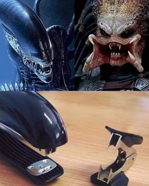 Haidar Ali, Predator Artwork, Predator Alien Art, Aliens Movie, Alien Vs Predator, Alien Vs, Everything Funny, 웃긴 사진, Really Funny Pictures