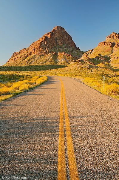 OATMAN, ARIZONA Route 66 Arizona, Old Route 66, Empty Road, Route 66 Road Trip, Usa Roadtrip, Historic Route 66, American Road, In The Middle Of Nowhere, Travel Route