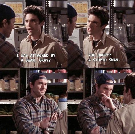 Jess Mariano Quotes Funny, Rory Aesthetic, Gilmore Quotes, Gilmore Girls Jess, Rory And Logan, Gilmore Girls Luke, Gilmore Guys, Luke Danes, Rory And Jess