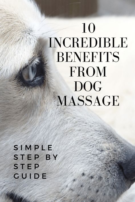 10 Incredible Benefits From Dog Massage.Dogs suffer from muscle stiffness and soreness.Massage is a great way to soothe aches and pains. Massage For Dogs, Dog Massage, Pet Healing, Training Ideas, Pet Tips, Dog Health Tips, Food Dog, Dog Health Care, Dog Info