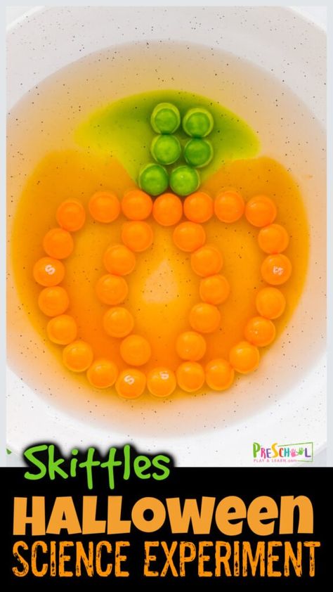 Pumpkin Science Experiment, Skittles Experiment, Pumpkin Math Activities, Candy Science Experiments, Science Projects For Preschoolers, Easy Science Projects, Pumpkin Science, Candy Science, Best Pumpkin Pie Recipe