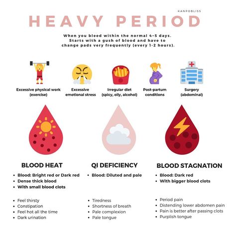 Heavy Flow Period Remedies, Heavy Period Remedies, Heavy Flow Period Hacks, Heavy Flow Period, Medical Laboratory Science Student, During Period, Hormone Nutrition, Woman's Health, Human Physiology