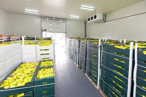 Freight Broker, Different Kinds Of Fruits, Food Spoilage, Produce Storage, Small And Medium Enterprises, Cold Room, Outdoor Furniture Design, Storage Facility, Cold Storage