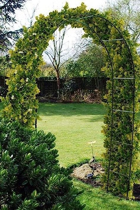 The Ram 2.4M Metal Garden ARCH Supports All The Climbing Plants And Vegetables. These Garden Arches Are Designed To Accomodate And Support All Types Of Climbing Plants And Vegetables. Watch As The Likes Of Ivy Sweet Peas And Climbing Flowers Bloom And Grow Around This Structure. In Your Garden . Penetrates Upto 40cm Into The Ground Dimensons; 240cm x 140cm x 37cm Climbing Plants Trellis, Building A Trellis, Climbing Plant Support, Garden Arch Trellis, Flower Trellis, Arch Trellis, Rose Trellis, Garden Arbor, Garden Arches