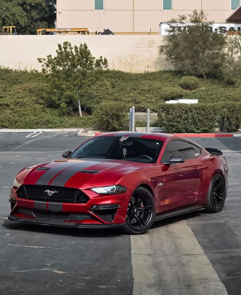 Diamond Red ♦️ Ruby Red Mustang, Mustang Gt Red, 2018 Mustang Gt, 2018 Mustang, Mustang Red, Ford Mustang 1969, Mobil Mustang, Red Mustang, Black Mustang