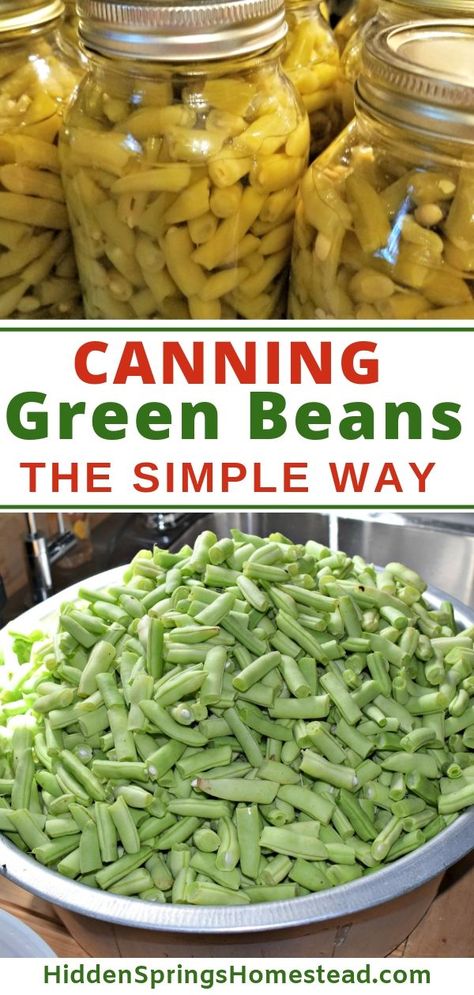 Pressure Can Green Beans, Pressure Canning Green Beans, Preserving Green Beans, Canning Green Beans, Canned Green Bean Recipes, Canning Veggies, Freezing Veggies, Summer Canning, Canning Beans