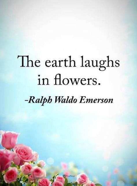 Quotes The Earth laughs in flowers. Happy Flower Quotes, Beautiful Flower Quotes, The Earth Laughs In Flowers, Chalkboard Projects, Earth Laughs In Flowers, Emerson Quotes, Garden Works, Garden Quotes, Unusual Flowers