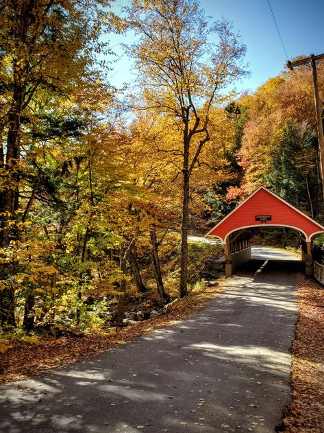 Franconia State Park Flume Gorge Trail,  New Hampshire Fall 2019 New Hampshire Fall, Flume Gorge, New Hampshire, Family Time, State Park, Hampshire, State Parks, Country Roads, Road