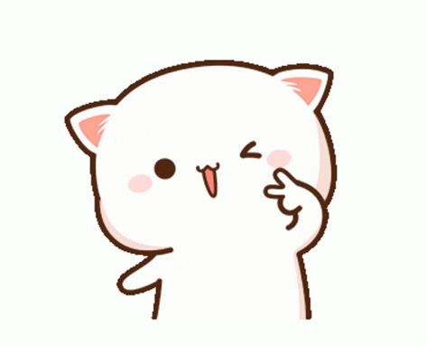 Chibi Cat Gif, Cute Mochi Cat, Cutie Cat-chan, Mochi Cats, Calin Gif, Mochi Cat, Cute Panda Cartoon, Peach Cat, Xiao Xiao