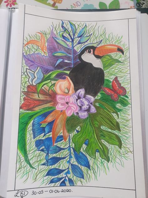 Tropical Rainforest Drawing, Rainforest Drawing, Drawing Using Pencil, Toucan Drawing, Drawing Ideas Simple, Portfolio Ideas, Rain Forest, Tropical Rainforest, Window Painting