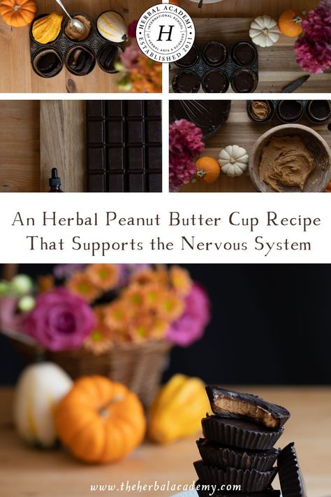 An Herbal Peanut Butter Cup Recipe That Supports the Nervous System | Herbal Academy | Feel inspired by this Herbal Peanut Butter Cup recipe to start incorporating herbal allies into your favorite foods and sweet treats. Herbal Candy, Peanut Butter Cups Recipe, Herbal Academy, Metabolism Boosting Foods, Medicinal Herb, Herbal Recipes, Peanut Butter Filling, Peanut Butter Cup, Chocolate Topping