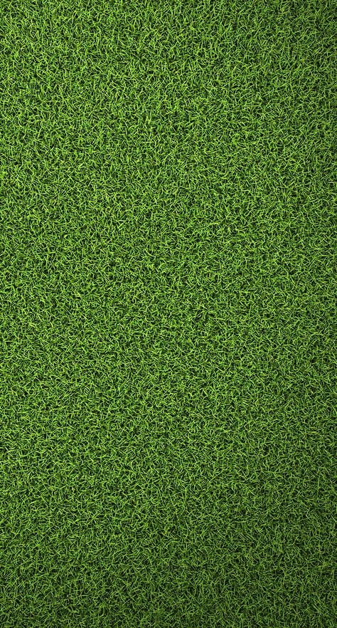 Cor do coraçao palmeirense Grass Texture, Grass Wallpaper, Desain Buklet, Office Wallpaper, Simple Texture, Original Iphone Wallpaper, Зеленые Обои, Photoshop Textures, Material Textures