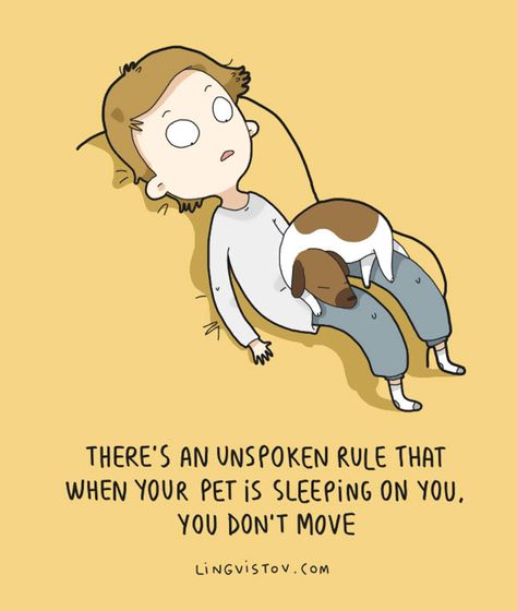 Animal Comic Pet Stuff, Animal Quotes, Dog Quotes, Animal Love, On The Ground, Dog Stuff, Dog Life, I Love Dogs, My Dog