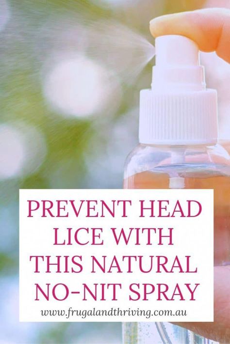 head lice, Best and also fastest All-natural treatments to remove Head lice efficiently and also ways to prevent it. #headlice #headliceremoval #headliceprevention #lice #headlicetreatment Essential Oil Lice Spray, Lice Repellant Spray Diy, Getting Rid Of Nits, Lice Prevention Spray, Reduce Inflammation Natural Remedies, Lice Spray, Lice Remedies, Lice Prevention, Aloe Cream