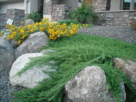 Garden Boulders, Boulder Garden, Front Landscape, Alpine Garden, Landscaping With Boulders, Front Garden Landscape, Hillside Landscaping, Rock Landscaping, Front Landscaping