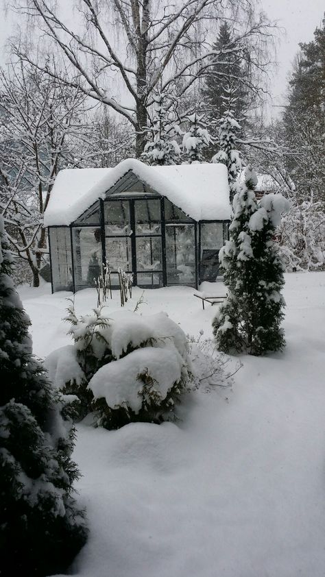 Greenhouse In The Snow, Greenhouse In Winter, Greenhouse Winter, Victorian Greenhouse, Winter Greenhouse, Book Vibes, Large Greenhouse, Old Manor, Green Houses