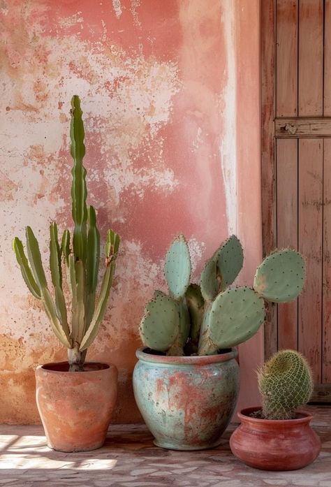 Cactus In Pots Outdoor, Cactus Pots Ideas, Trash Wall, Indoor Cactus Garden, Cacti Garden, Mexican Garden, Indoor Cactus, Cactus Pot, Surf Shack