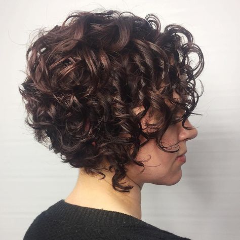 Stacked Chocolate Bob for Curly Hair Bob Inversat, Short Curly Bob Hairstyles, Kort Bob, Bob Haircut Curly, Curly Hair Photos, Medium Curly, Short Curly Haircuts, Haircuts For Curly Hair, Hair Bob