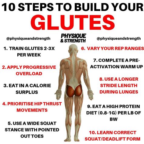 How To Eat In A Calorie Surplus, Sets And Reps For Muscle Gain, Gain Glute Muscle, How To Gain Muscle For Women Workouts, Muscle Gain Exercise Plan For Women, Glute Muscle Chart, Workout Split For Muscle Gain, Glute Growth Tips, Build Glute Muscles