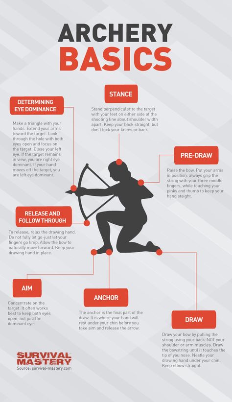 Basic facts about archery infographic Archery Hunting Bowhunting, Archery Tips, Trening Sztuk Walki, Archery Bows, Traditional Archery, Survival Life Hacks, Hunting Tips, Survival Techniques, Archery Hunting