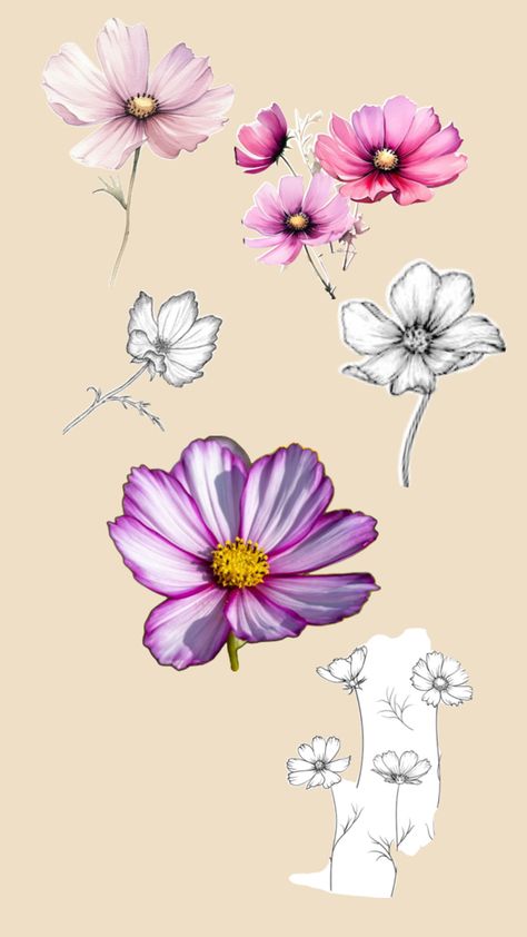 Tattoo inspiration Cosmos Tattoo, Cosmos Flowers, Tattoo Design Drawings, Flower Tattoos, Designs To Draw, Cosmos, Flower Tattoo, Tattoo Designs, Tattoos