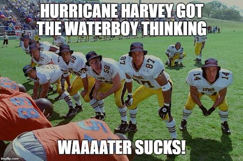 Waterboy Movie, The Waterboy, Adam Sandler Movies, Classic Movie Quotes, Favorite Movie Quotes, Movie Memes, Adam Sandler, Movie Quotes, Memes Quotes