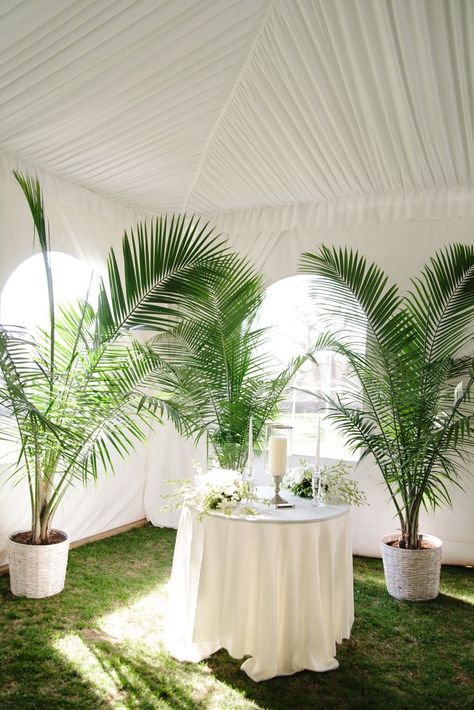 Potted Palm Trees, White Wedding Ceremony, Tropical Wedding Theme, Wedding Ceremony Unity, Potted Palms, Palm Wedding, Wedding Plants, Fiesta Tropical, Havana Nights