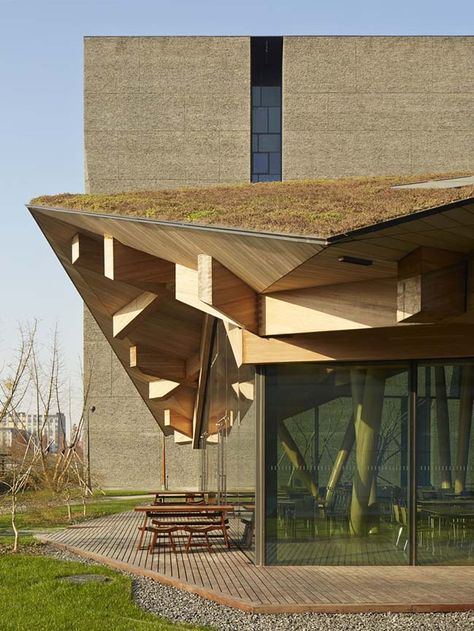 Novartis Shanghai Campus by Kengo Kuma and Associates Kengo Kuma Architecture, Green Roof Benefits, Japanese Roof, Roof Eaves, Green Roof System, Kengo Kuma, Roof Detail, Roofing Systems, Roof Garden