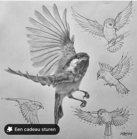 Bird Beaks Drawing, Little Bird Drawing, Birds Anatomy, Bird Drawing Tutorial, Bug Drawing, Bird Pencil Drawing, Bird Anatomy, References Animals, Sketch Tutorial