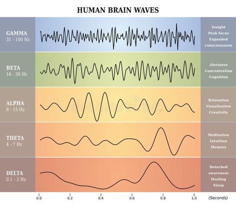 Neurofeedback Therapy, Operant Conditioning, Brain Mapping, Brain Scan, Diagram Chart, Behavior Disorder, Developmental Delays, Brain Activities, Brain Waves