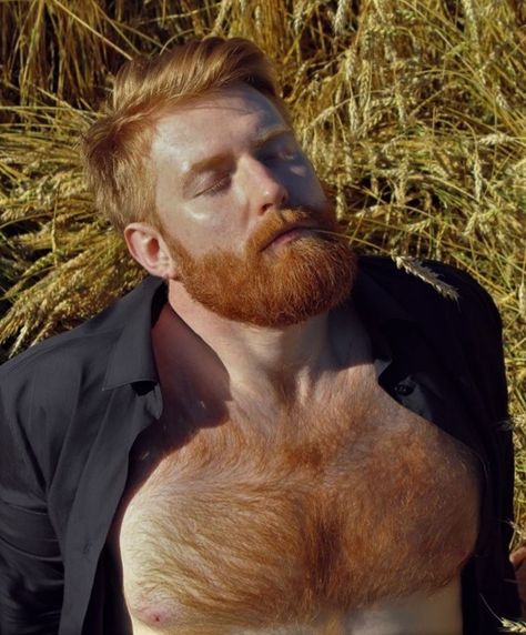 Ginger Hair Men, Blonde Beard, Beard Images, Teenage Hairstyles, Redhead Men, Beard Humor, Ginger Beard, Beard Hairstyle, Ginger Men