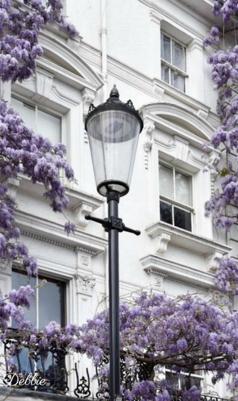 Notting Hill, London UK ~ Debbie ❤ Lilac Aesthetic, Violet Aesthetic, Notting Hill London, Lavender Aesthetic, Soft Purple, Notting Hill, Pastel Purple, Purple Aesthetic, Street Light