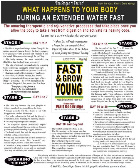 Intermittent Fasting Diet, No Judgement, Fast And Pray, Perspective Quotes, Loving Kindness, Healing Codes, Diet Chart, Healing Food, Natural Health Remedies