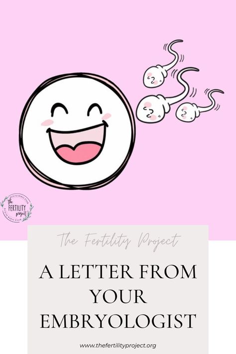 Are you trying to concieve? Are you battling incertility? Curuous about different options like IUI or IVF? Have you ever considered working with an embryologist? Unsure about what to expect? Read our blog post from an embryologist to get a knack for what to expect at your first appountment Failed Embryo Transfer, Ivf Affirmations, Gender Disappointment, Ivf Process Step By Step, Ivf Preparation, Ivf Success Stories, Ivf Failure, Ivf Implantation, Fertility Help